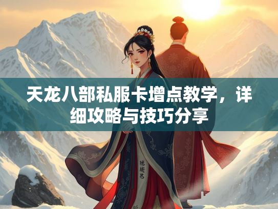 天龙八部私服卡增点教学，详细攻略与技巧分享  第2张