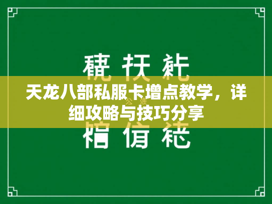 天龙八部私服卡增点教学，详细攻略与技巧分享  第1张