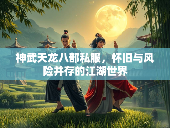 神武天龙八部私服，怀旧与风险并存的江湖世界  第2张