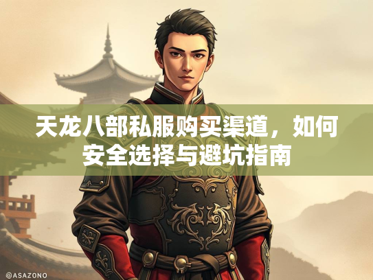 天龙八部私服购买渠道，如何安全选择与避坑指南  第2张