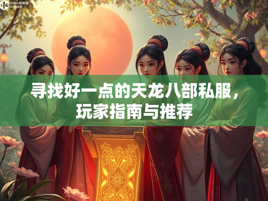 寻找好一点的天龙八部私服，玩家指南与推荐  第1张