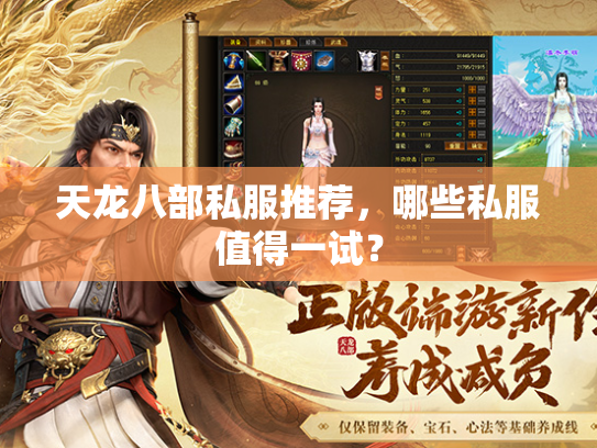 天龙八部私服推荐，哪些私服值得一试？  第3张