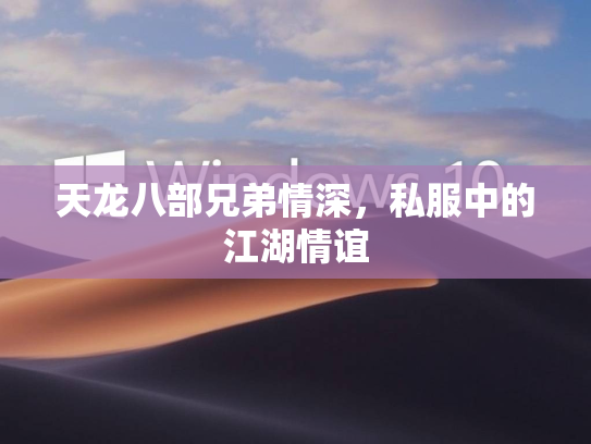 天龙八部兄弟情深，私服中的江湖情谊  第1张