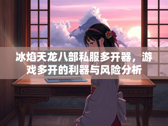 冰焰天龙八部私服多开器，游戏多开的利器与风险分析  第2张