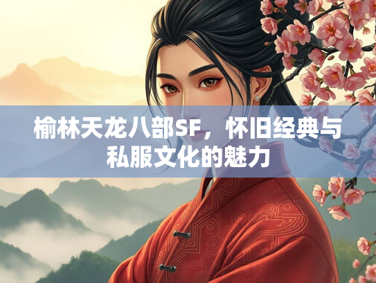 榆林天龙八部SF，怀旧经典与私服文化的魅力  第2张
