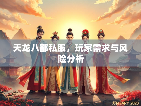 天龙八部私服，玩家需求与风险分析  第1张