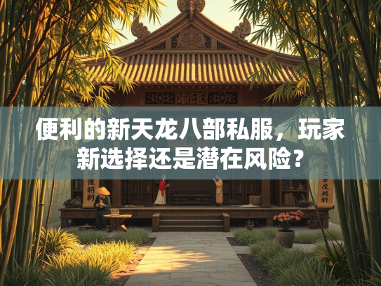 便利的新天龙八部私服，玩家新选择还是潜在风险？  第2张
