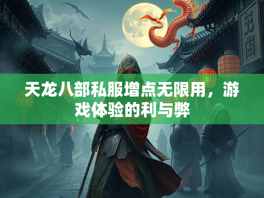 天龙八部私服增点无限用，游戏体验的利与弊  第3张