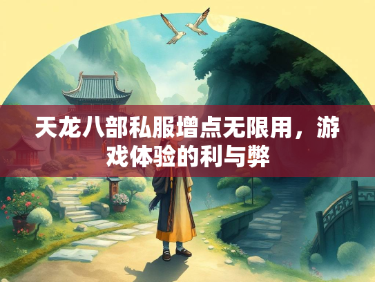 天龙八部私服增点无限用，游戏体验的利与弊  第1张