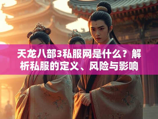 天龙八部3私服网是什么？解析私服的定义、风险与影响  第2张