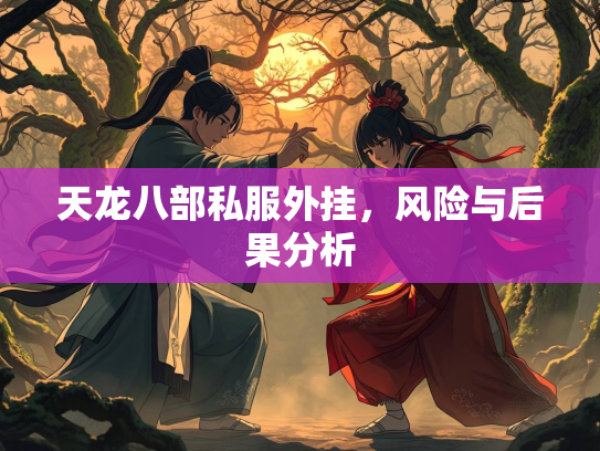 天龙八部私服外挂，风险与后果分析  第1张