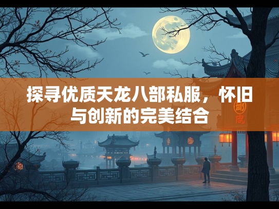 探寻优质天龙八部私服，怀旧与创新的完美结合  第2张