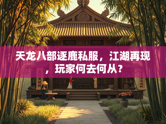 天龙八部逐鹿私服，江湖再现，玩家何去何从？