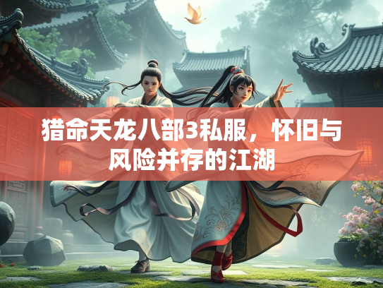 猎命天龙八部3私服，怀旧与风险并存的江湖