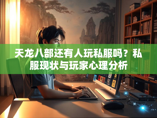 天龙八部还有人玩私服吗？私服现状与玩家心理分析  第1张