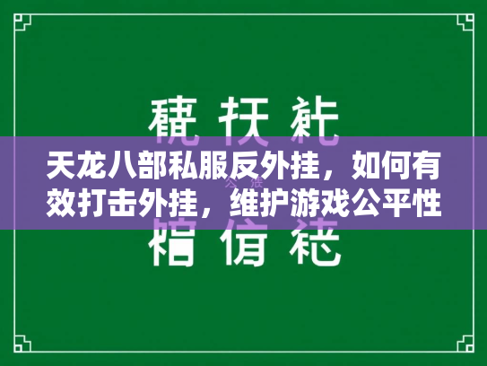 天龙八部私服反外挂，如何有效打击外挂，维护游戏公平性  第4张