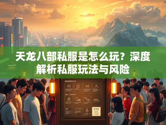 天龙八部私服是怎么玩？深度解析私服玩法与风险  第3张