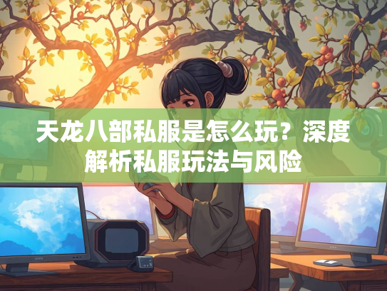 天龙八部私服是怎么玩？深度解析私服玩法与风险  第5张