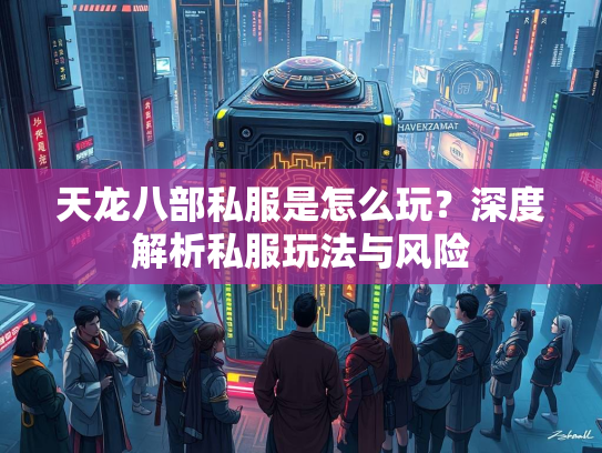 天龙八部私服是怎么玩？深度解析私服玩法与风险  第1张