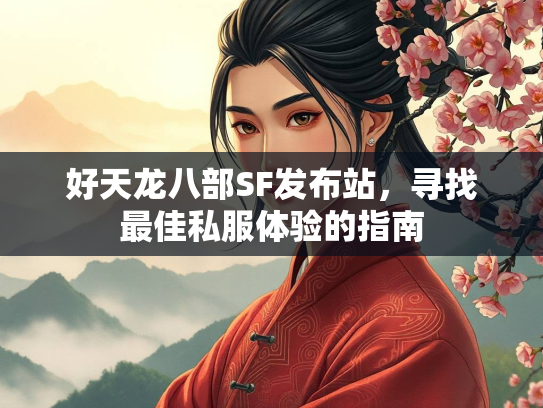 好天龙八部SF发布站，寻找最佳私服体验的指南  第2张
