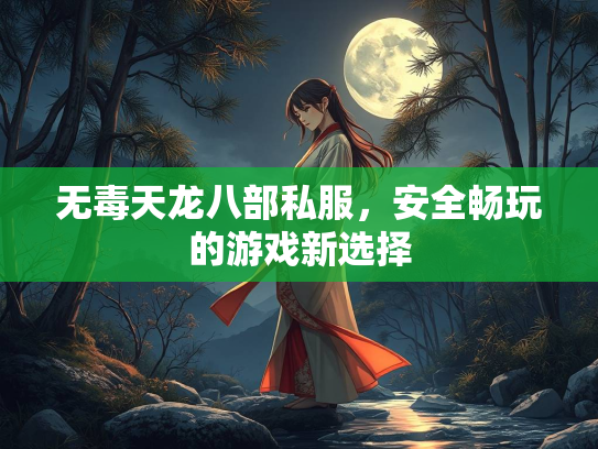 无毒天龙八部私服，安全畅玩的游戏新选择  第4张