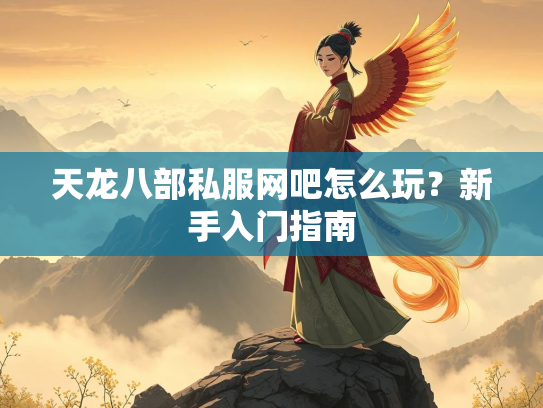天龙八部私服网吧怎么玩？新手入门指南  第2张