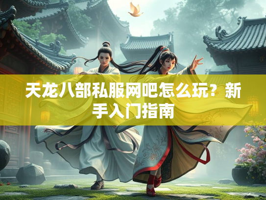 天龙八部私服网吧怎么玩？新手入门指南
