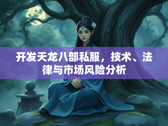 开发天龙八部私服，技术、法律与市场风险分析  第2张