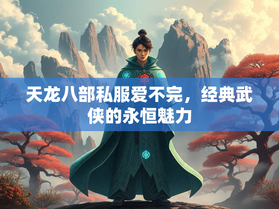 天龙八部私服爱不完，经典武侠的永恒魅力  第4张