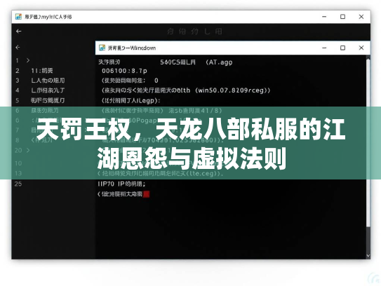 天罚王权，天龙八部私服的江湖恩怨与虚拟法则  第4张
