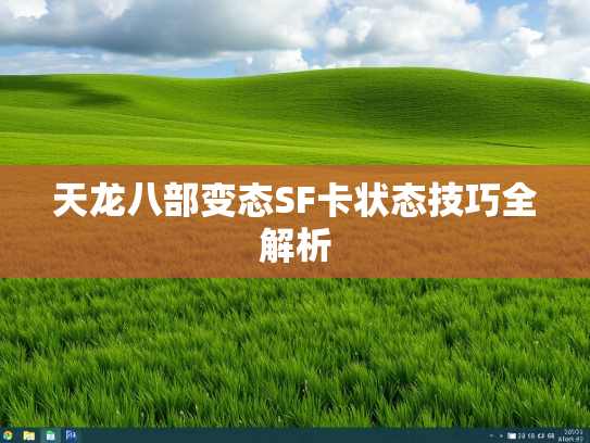 天龙八部变态SF卡状态技巧全解析  第3张