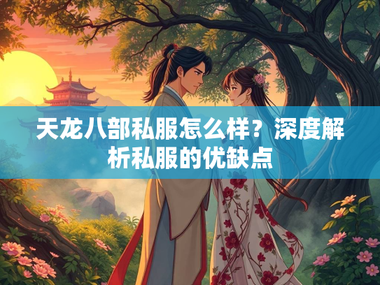 天龙八部私服怎么样？深度解析私服的优缺点  第4张
