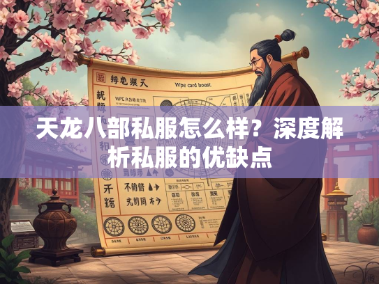 天龙八部私服怎么样？深度解析私服的优缺点  第2张