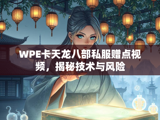 WPE卡天龙八部私服赠点视频，揭秘技术与风险  第3张