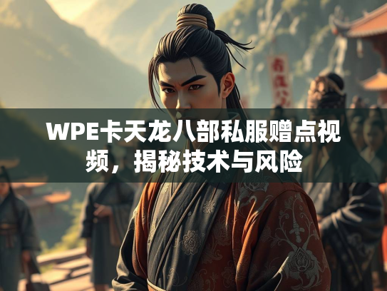 WPE卡天龙八部私服赠点视频，揭秘技术与风险  第4张