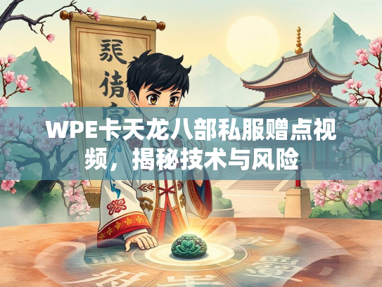 WPE卡天龙八部私服赠点视频，揭秘技术与风险  第1张