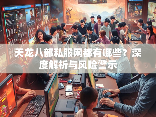 天龙八部私服网都有哪些？深度解析与风险警示  第1张