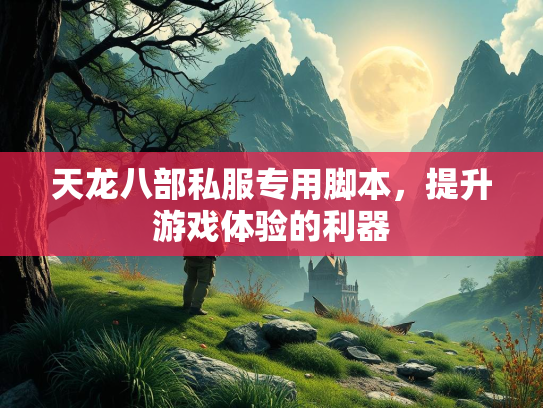 天龙八部私服专用脚本，提升游戏体验的利器  第3张