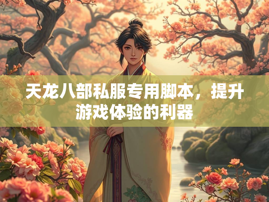 天龙八部私服专用脚本，提升游戏体验的利器  第5张