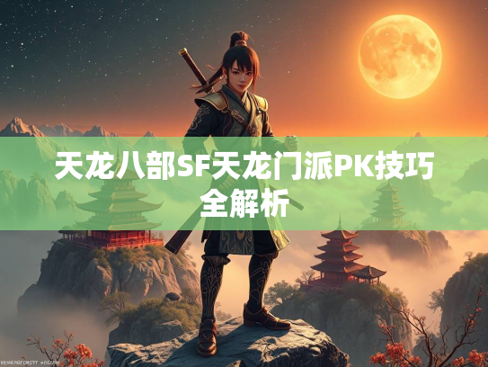 天龙八部SF天龙门派PK技巧全解析  第3张