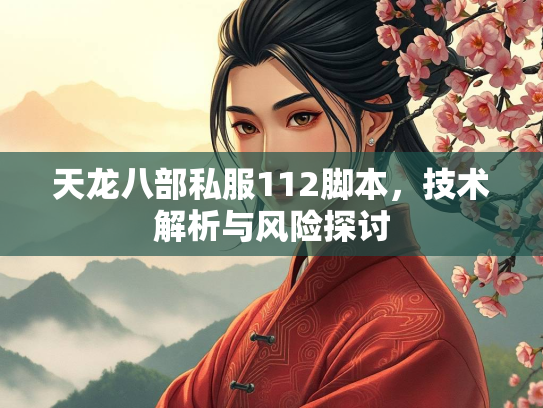 天龙八部私服112脚本，技术解析与风险探讨