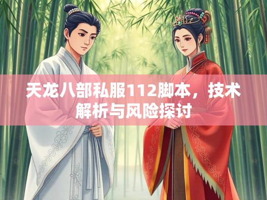 天龙八部私服112脚本，技术解析与风险探讨