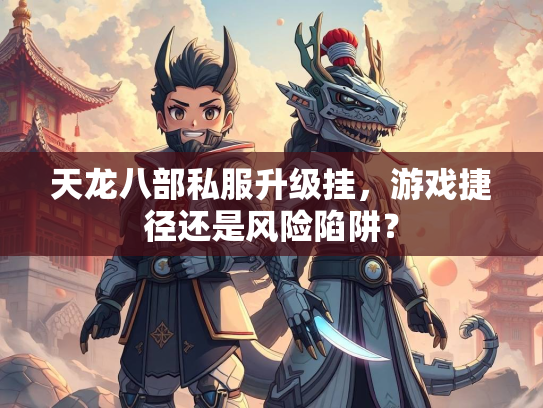 天龙八部私服升级挂，游戏捷径还是风险陷阱？  第4张