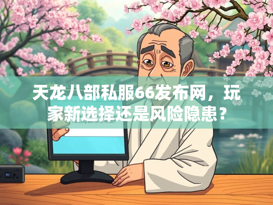 天龙八部私服66发布网，玩家新选择还是风险隐患？  第1张