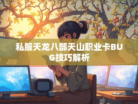 私服天龙八部天山职业卡BUG技巧解析  第3张