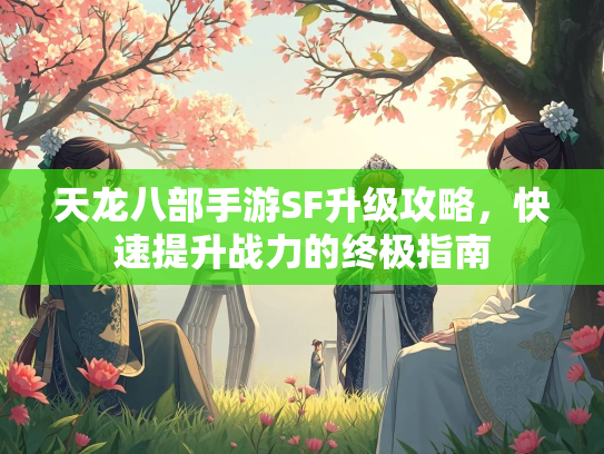 天龙八部手游SF升级攻略，快速提升战力的终极指南  第3张