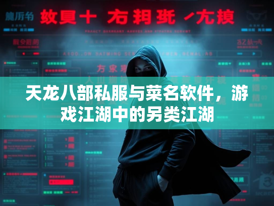 天龙八部私服与菜名软件，游戏江湖中的另类江湖  第1张