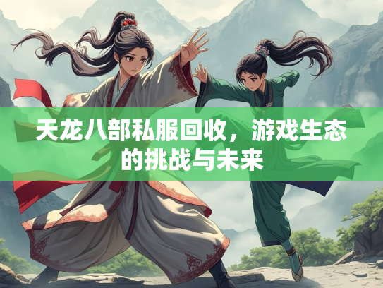 天龙八部私服回收，游戏生态的挑战与未来  第3张