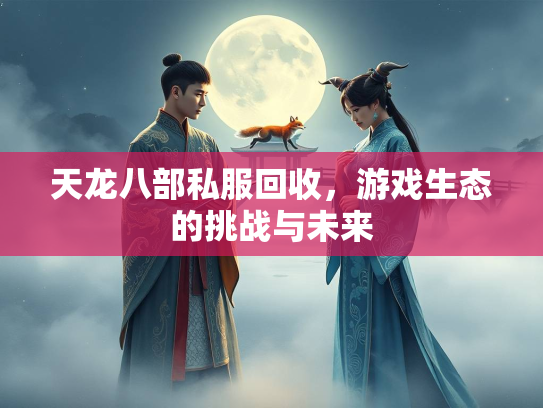 天龙八部私服回收，游戏生态的挑战与未来  第1张