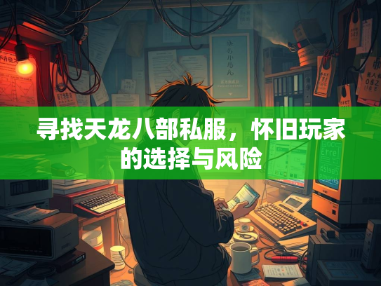 寻找天龙八部私服，怀旧玩家的选择与风险  第1张